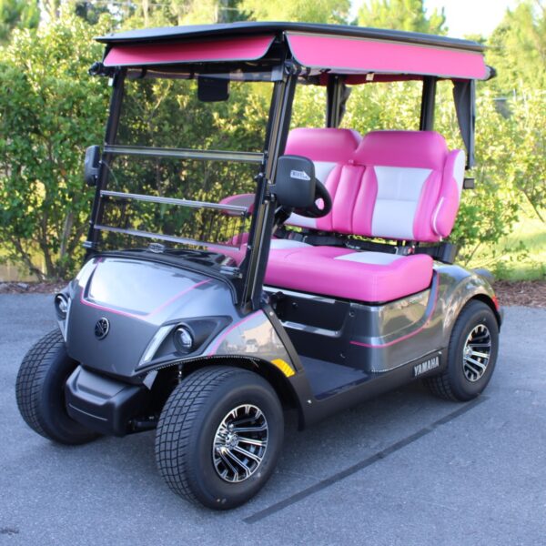 2024 Yamaha Drive2