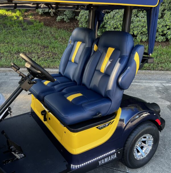 2024 Yamaha Drive2 - Image 2