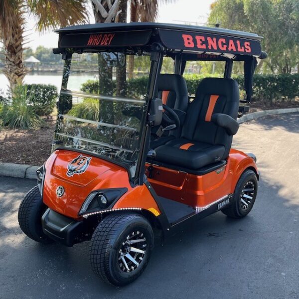 2024 Yamaha Drive2