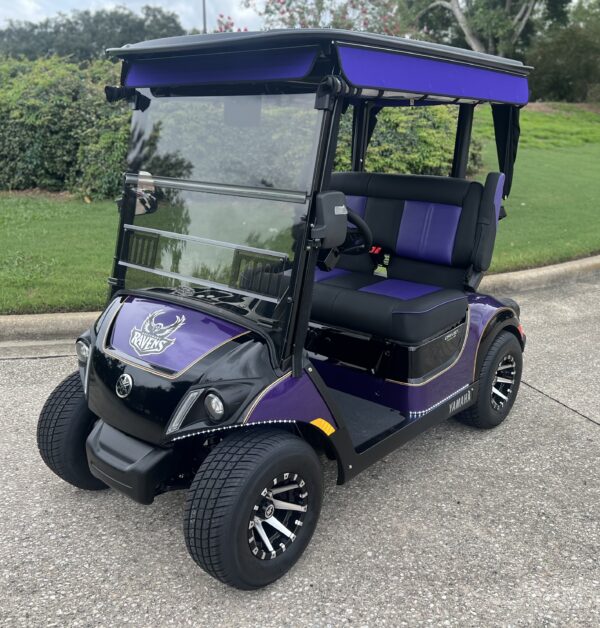 2024 Yamaha Drive2