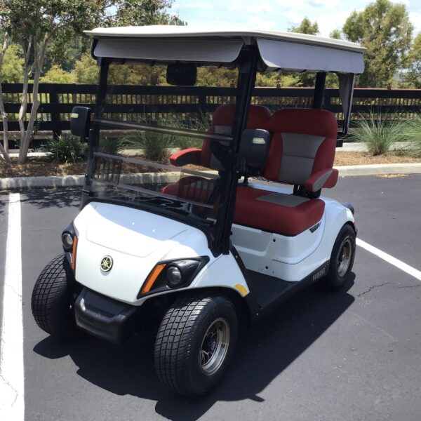 2019 Yamaha Drive2