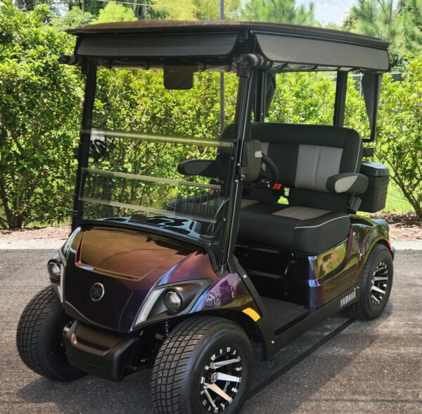2024 Yamaha Drive2