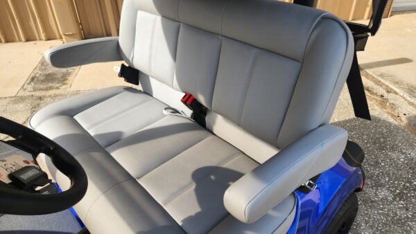 2024 Yamaha Drive2 - Image 2