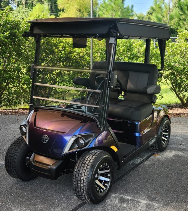 2024 Yamaha Drive2
