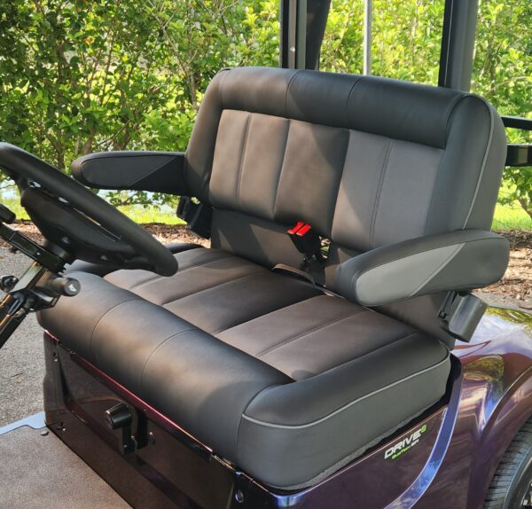 2024 Yamaha Drive2 - Image 2