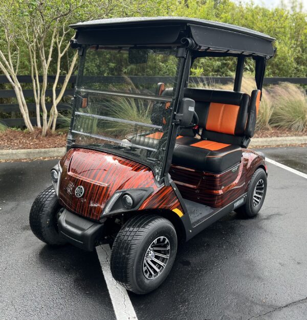 2024 Yamaha Drive2