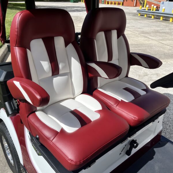 2025 Yamaha Drive2 - Image 2