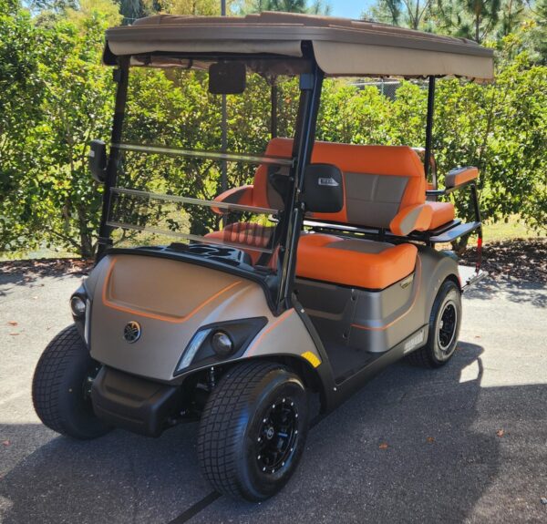 2025 Yamaha Drive2