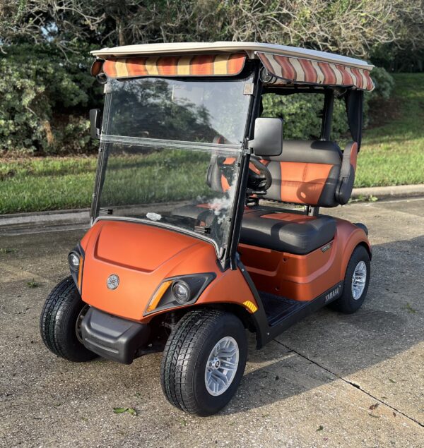 2021 Yamaha Drive2