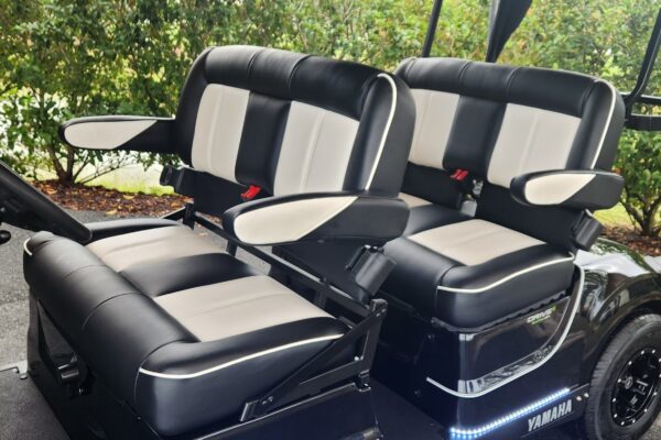 2023 Yamaha Concierge 4 - Image 2