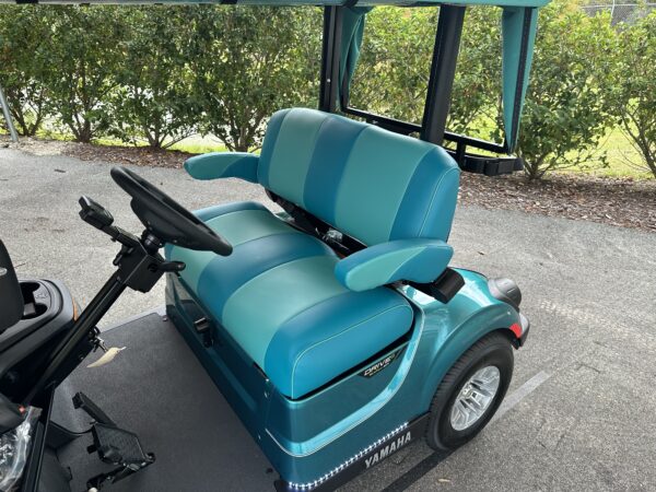 2024 Yamaha Drive2 - Image 4