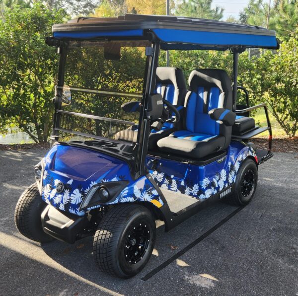 2025 Yamaha Drive2