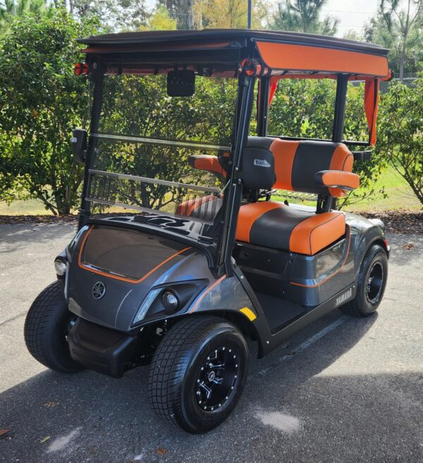 2025 Yamaha Drive2