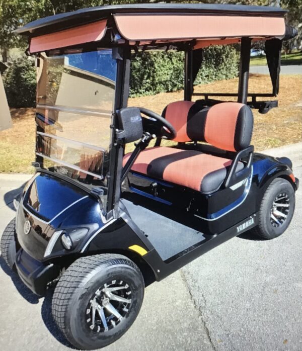 2024 Yamaha Drive2