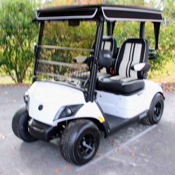 2025 Yamaha Drive2
