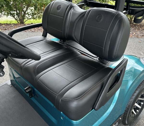 2025 Yamaha Drive2 - Image 2