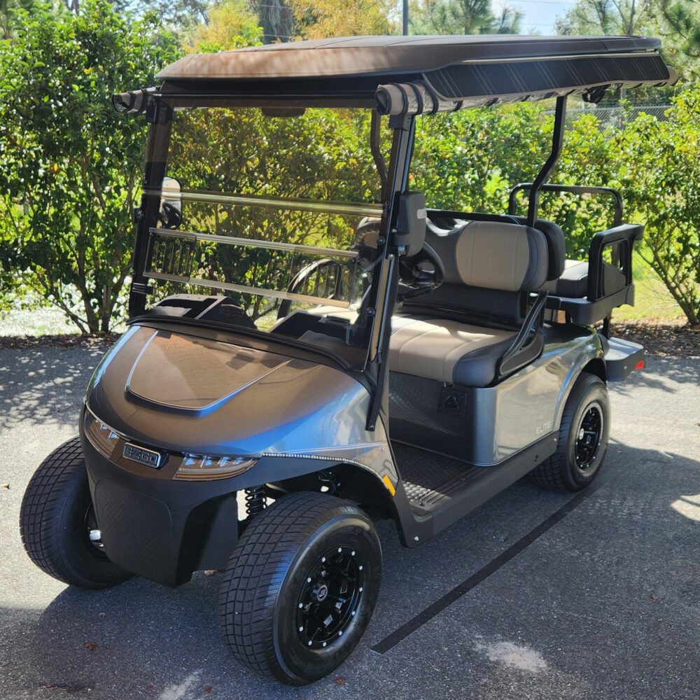 2025 E-Z-GO Freedom RXV ELiTE + RFS