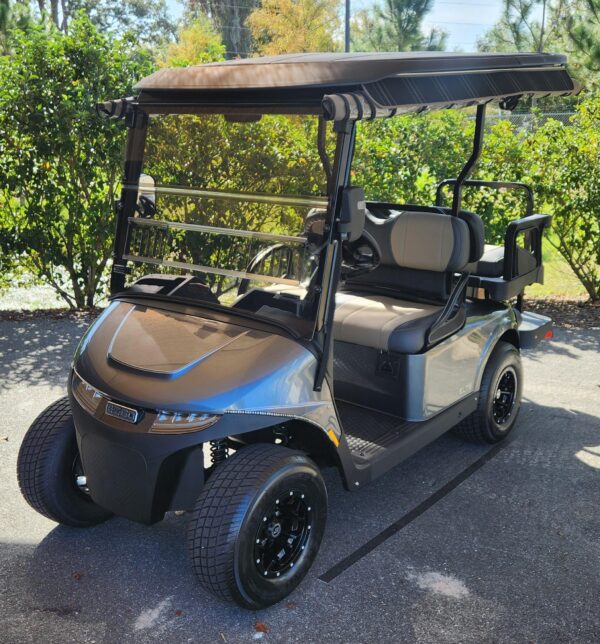 2025 E-Z-GO Freedom RXV ELiTE + RFS