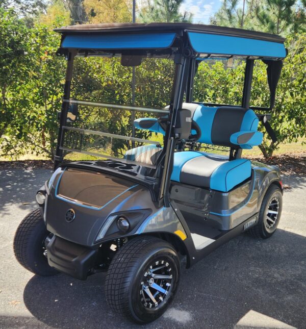 2025 Yamaha Drive2