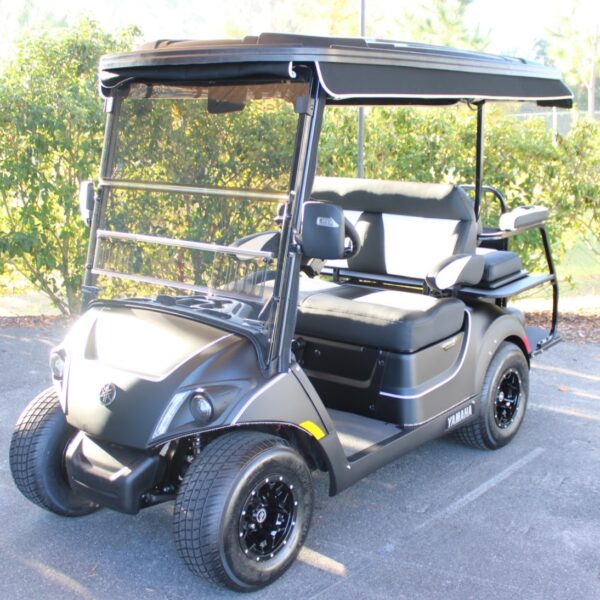 2025 Yamaha Drive2