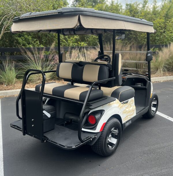 2024 Yamaha Drive2 - Image 4