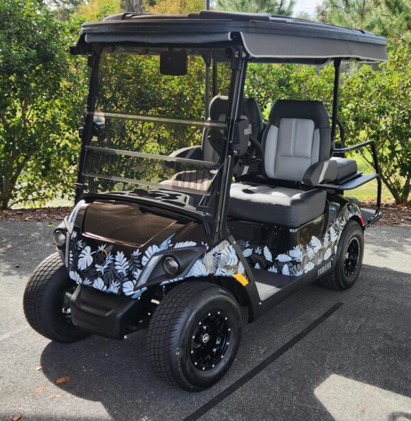 2025 Yamaha Drive2