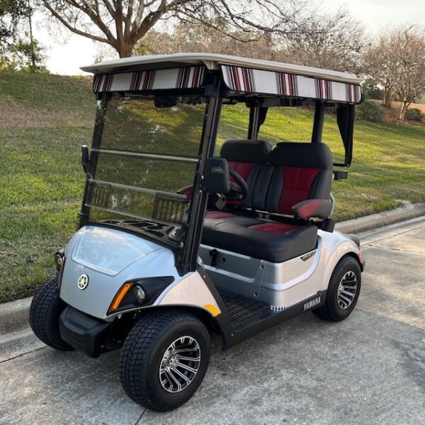 2019 Yamaha Drive2