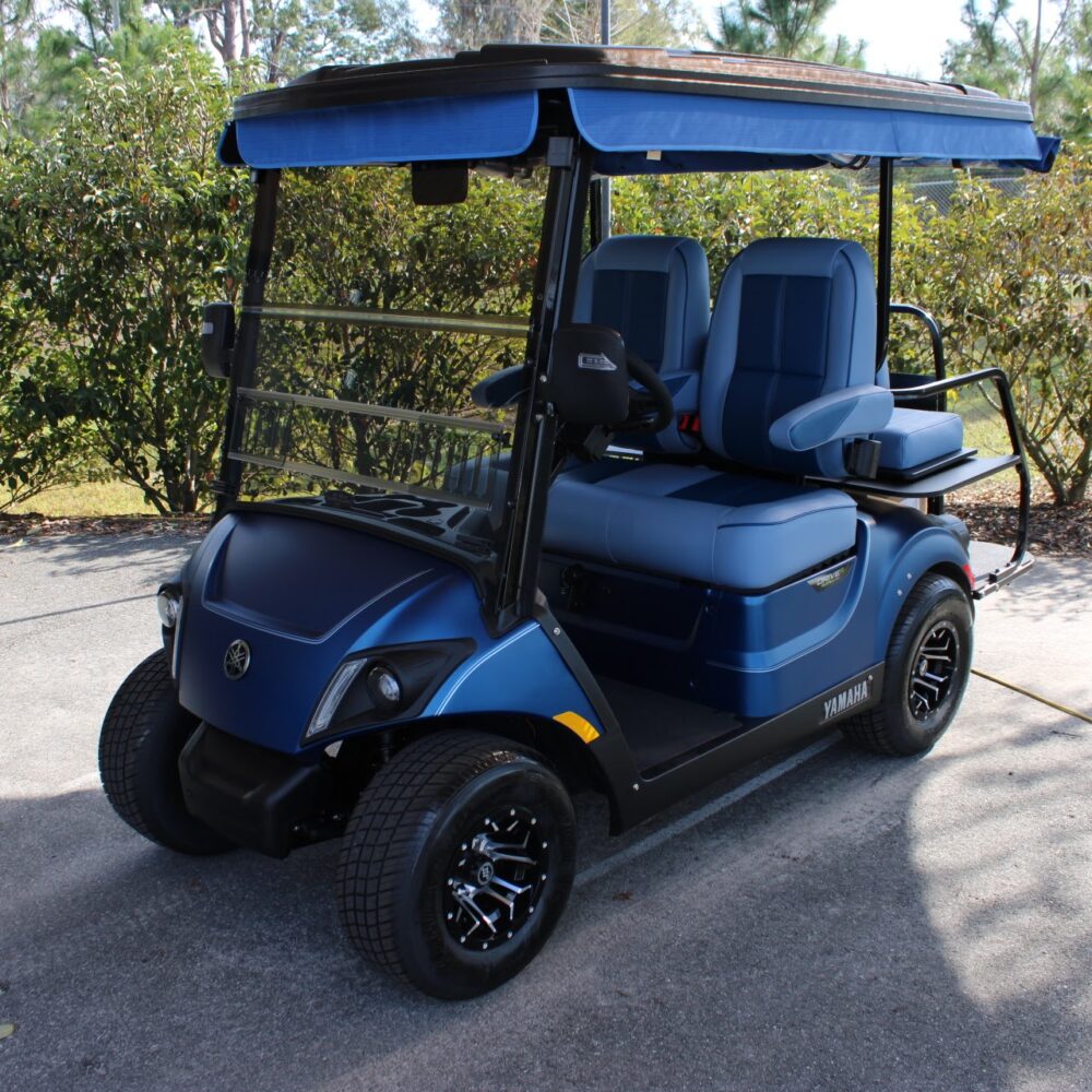 2025 Yamaha Drive2