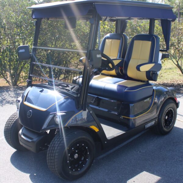 2025 Yamaha Drive2