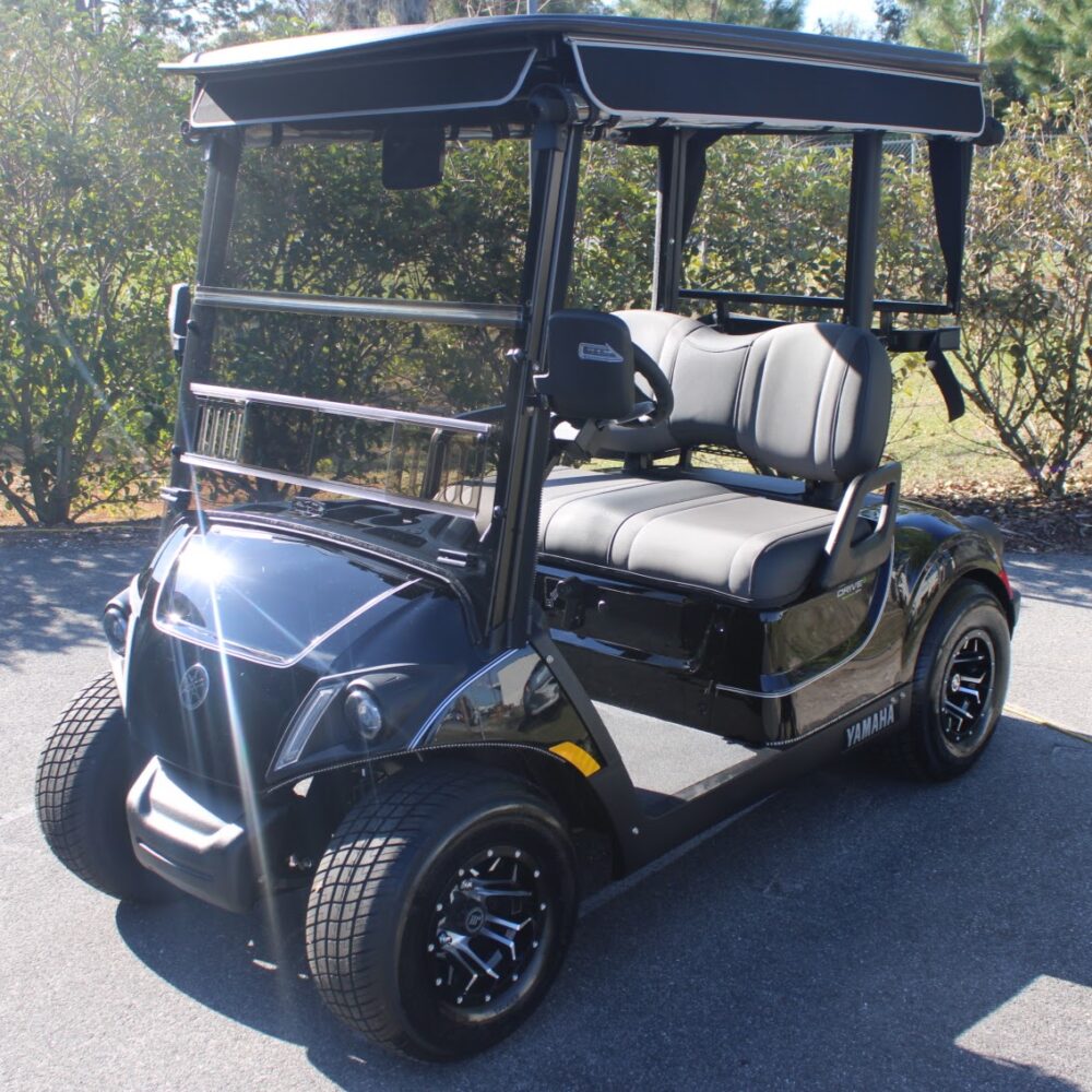 2025 Yamaha Drive2