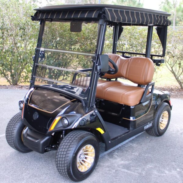 2025 Yamaha Drive2