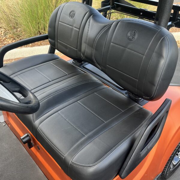 2020 Yamaha Drive2 - Image 2
