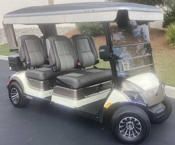 2022 Yamaha Concierge 4 - Image 3