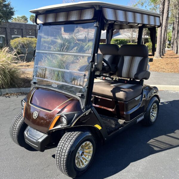 2018 Yamaha Drive2