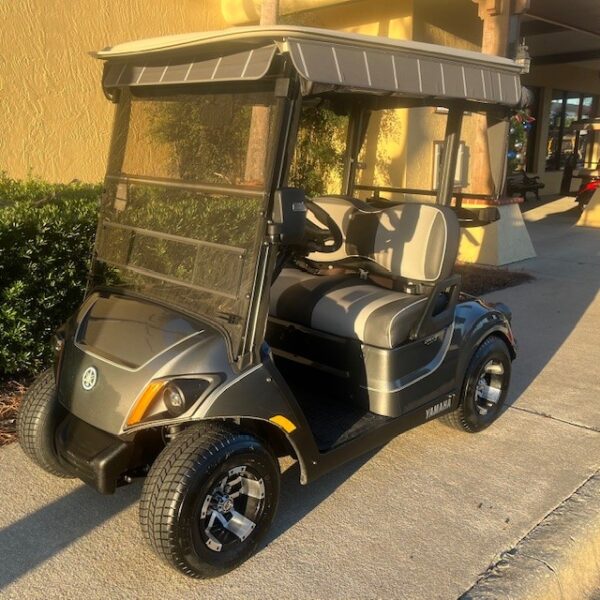 2019 Yamaha Drive2