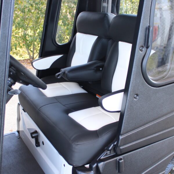 2025 Yamaha Drive2 - Image 2