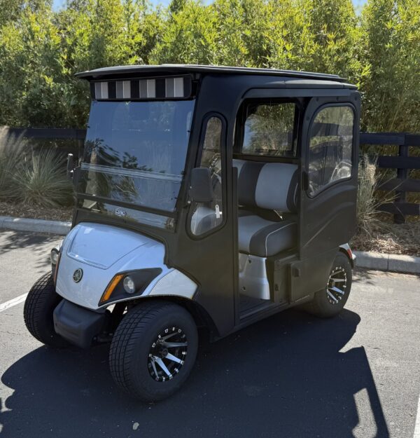 2018 Yamaha Drive2