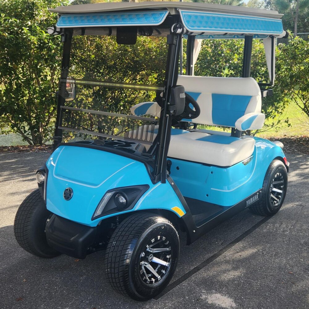 2025 Yamaha Drive2