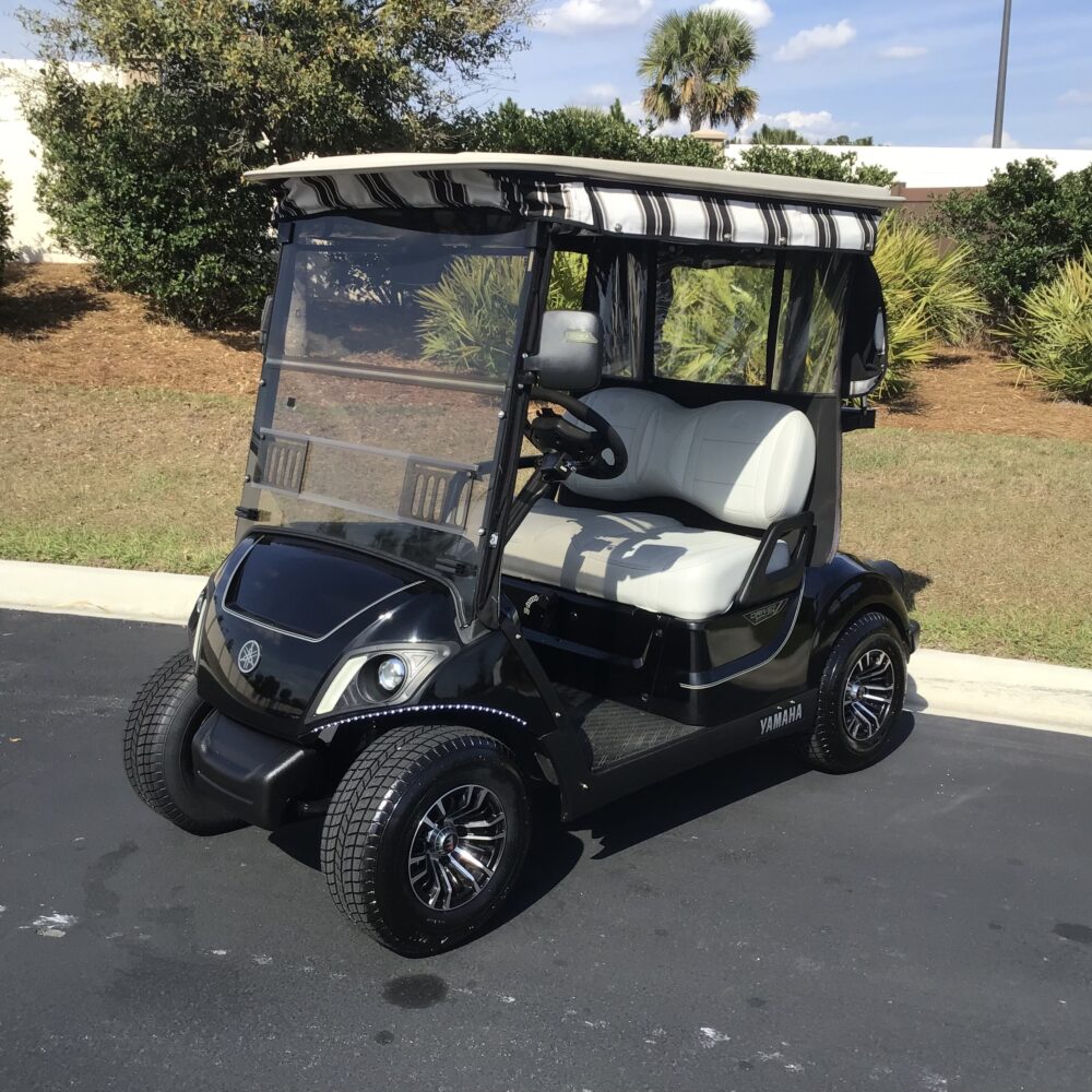 2019 Yamaha Drive2