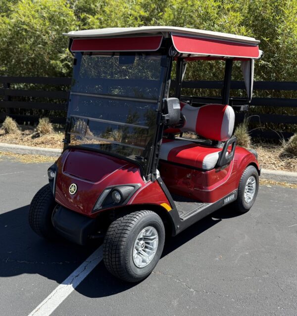 2021 Yamaha Drive2