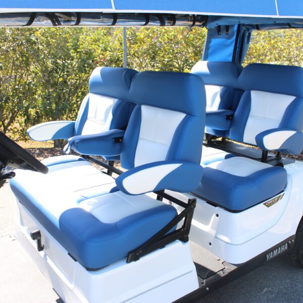 2023 Yamaha Concierge 4 - Image 2