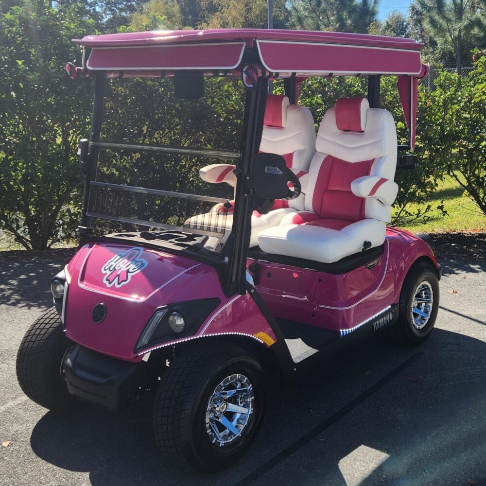 2025 Yamaha Drive2