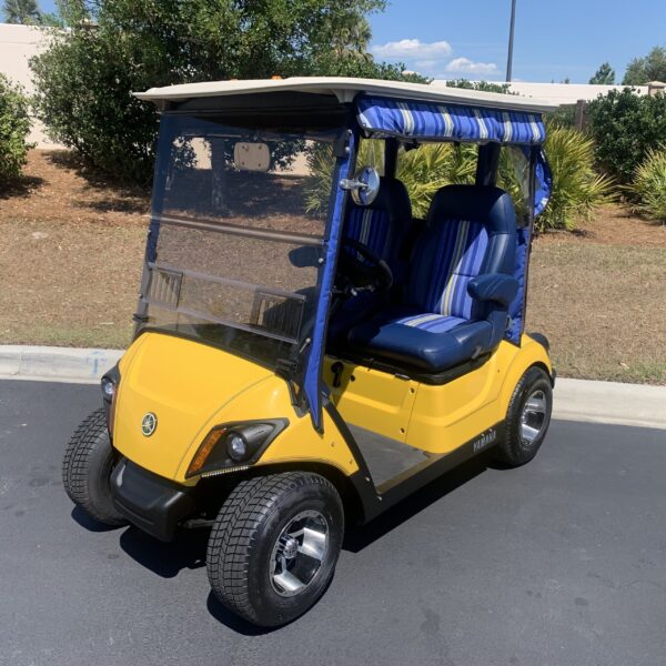 2019 Yamaha Drive2