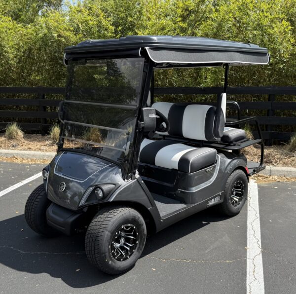 2025 Yamaha Drive2