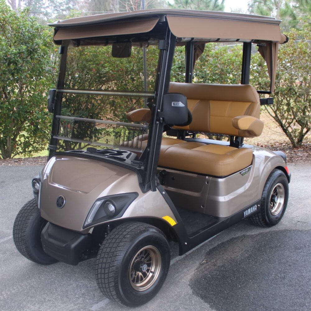 2022 Yamaha Drive2