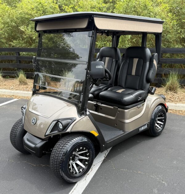 2020 Yamaha Drive2
