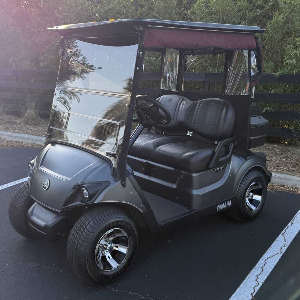 2020 Yamaha Drive2