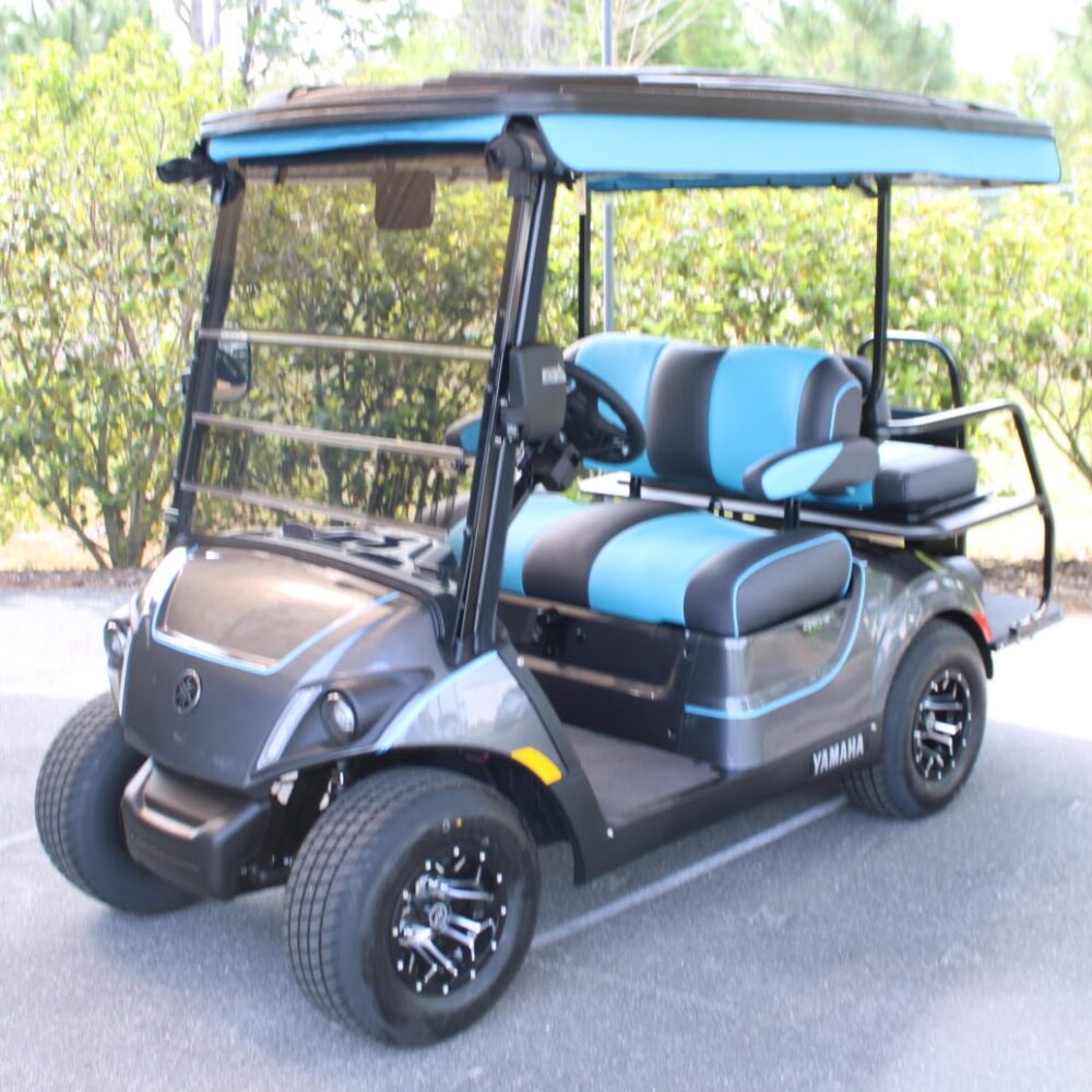 2025 Yamaha Drive2
