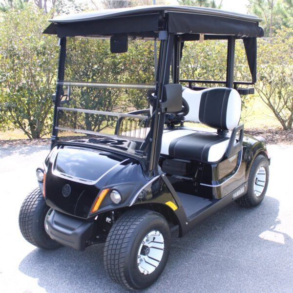 2025 Yamaha Drive2
