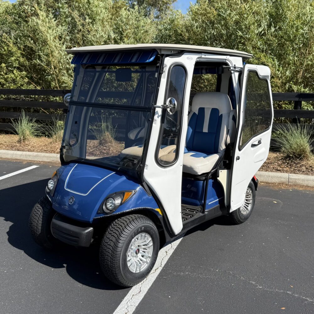 2016 Yamaha Drive2